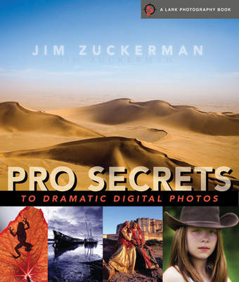 Book cover for Pro Secrets to Dramatic Digital Photos