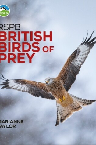 Cover of RSPB British Birds of Prey: New Edition