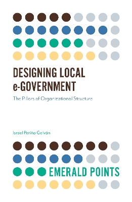 Cover of Designing Local e-Government