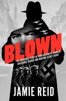 Book cover for Blown