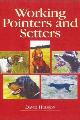 Cover of Working Pointers and Setters