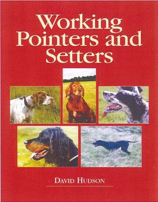 Book cover for Working Pointers and Setters