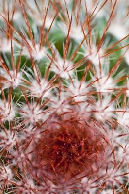 Cover of Journal Cactus Close Up Photo