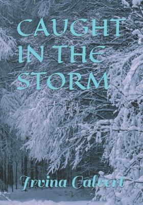 Book cover for Caught in the Storm