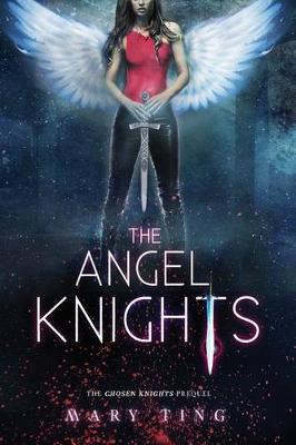 Book cover for The Angel Knights