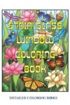 Book cover for Detailed Coloring Books (Stain Glass Window Coloring Book)