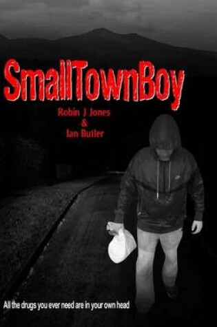 Cover of Small Town Boy