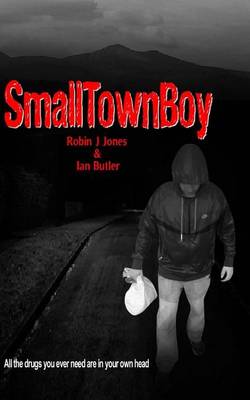 Book cover for Small Town Boy