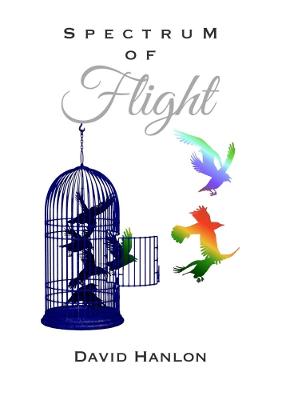 Book cover for Spectrum Of Flight