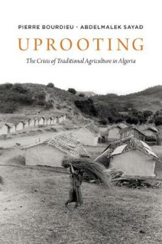 Cover of Uprooting