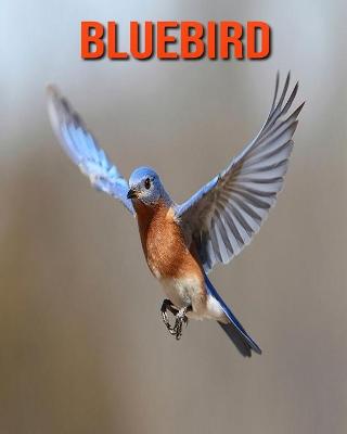 Book cover for Bluebird