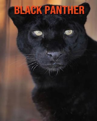 Book cover for Black Panther