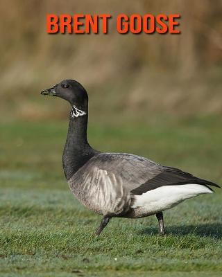 Book cover for Brent Goose