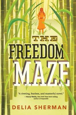 Book cover for The Freedom Maze