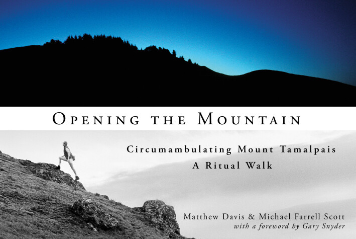 Book cover for Opening The Mountain