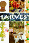 Book cover for Harvest