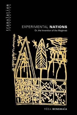 Cover of Experimental Nations