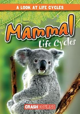 Book cover for Mammal Life Cycles