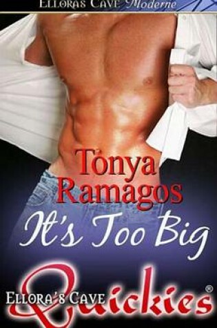 Cover of It's Too Big