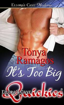 Book cover for It's Too Big