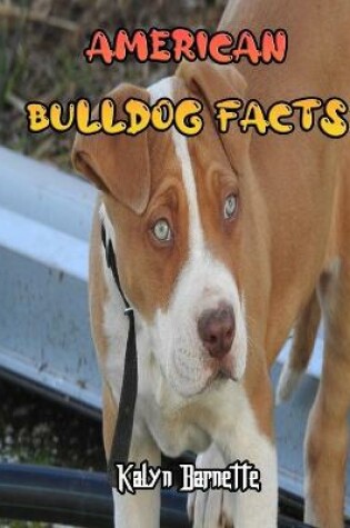 Cover of American Bulldog Facts