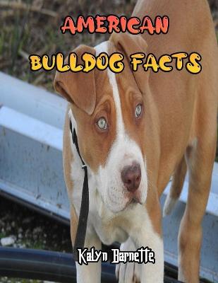 Book cover for American Bulldog Facts