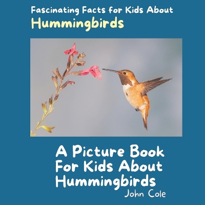 Book cover for A Picture Book for Kids About Hummingbirds