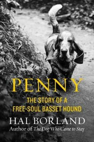 Cover of Penny