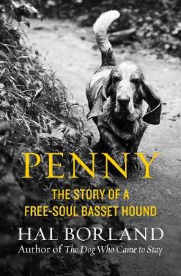 Book cover for Penny