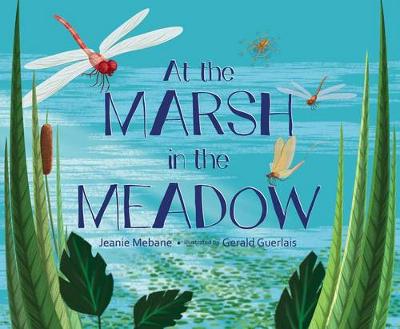 Book cover for At the Marsh in the Meadow