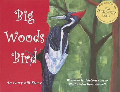 Book cover for Big Woods Bird