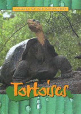 Cover of Animals of the Rainforest: Tortoises