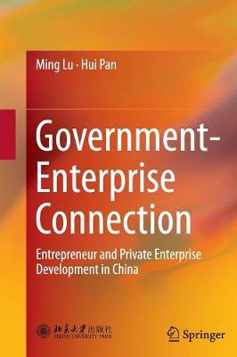 Book cover for Government-Enterprise Connection