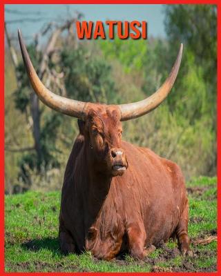 Book cover for Watusi