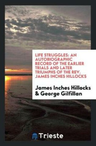 Cover of Life Struggles
