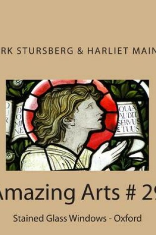 Cover of Amazing Arts # 29