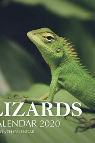 Cover of Lizards Calendar 2020