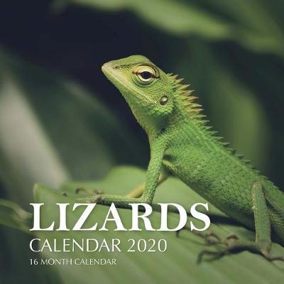 Book cover for Lizards Calendar 2020