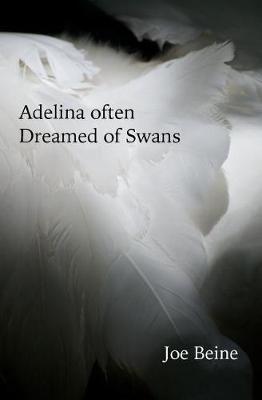 Book cover for Adelina Often Dreamed of Swans