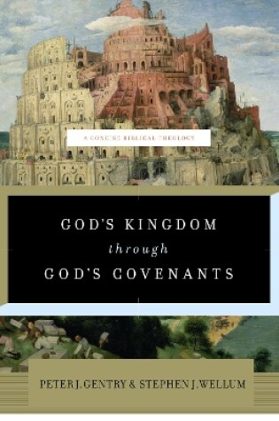 Cover of God's Kingdom through God's Covenants
