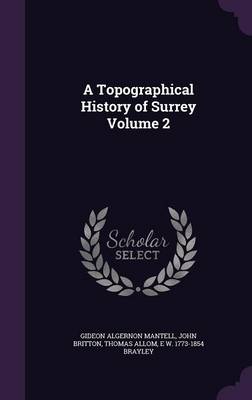 Book cover for A Topographical History of Surrey Volume 2