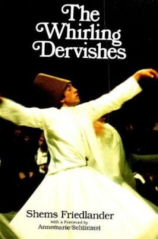 Cover of Whirling Dervishes, The