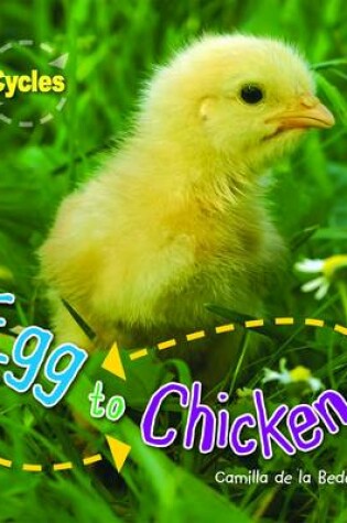 Cover of Life Cycles - Egg to Chicken