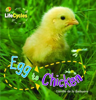 Book cover for Life Cycles - Egg to Chicken