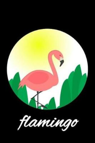 Cover of Flamingo