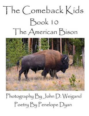 Book cover for The Comeback Kids--Book 10--The American Bison