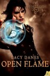 Book cover for Open Flame