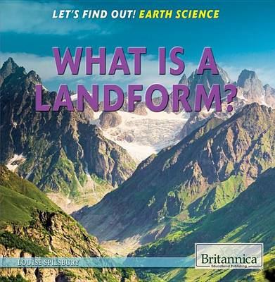 Book cover for What Is a Landform?