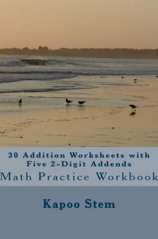 Cover of 30 Addition Worksheets with Five 2-Digit Addends