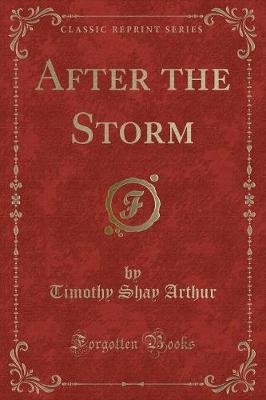 Book cover for After the Storm (Classic Reprint)